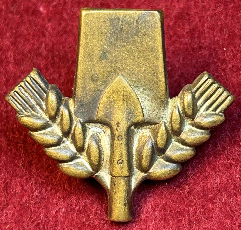 3rd Reich Freiwilliger Arbeitsdienst Mützenabzeichen