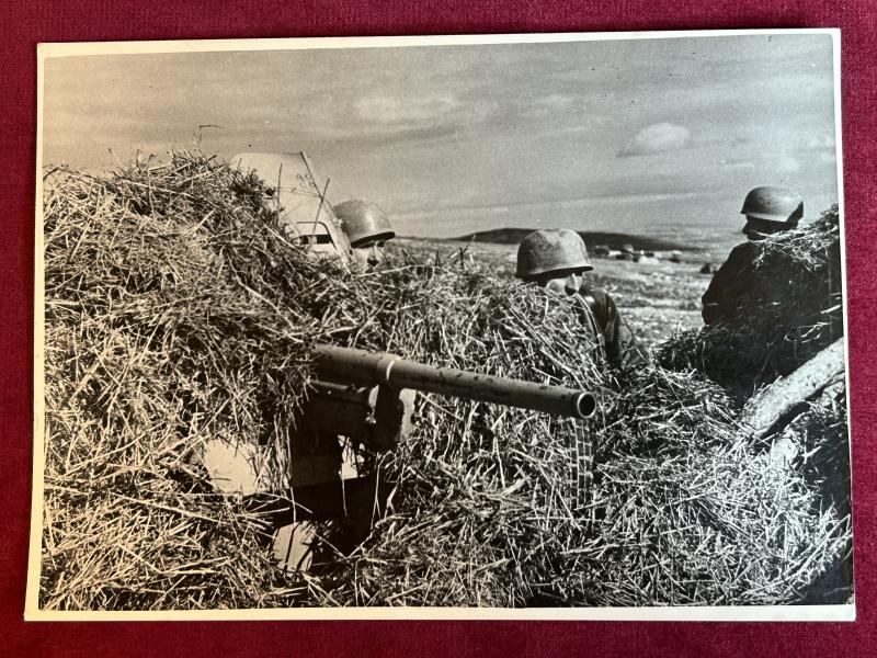 3rd Reich Pressefoto Kampf in Tunesien (Afrika Korps)